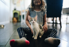 Μελέτη: Παιδιά που ζουν με γάτες και σκύλους προστατεύονται από τροφικές αλλεργίες 