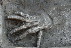 Αρχαία Αίγυπτος: Τα ακρωτηριασμένα χέρια σε ανάκτορο- Σε ποιους ανήκαν