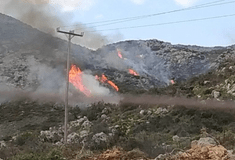 Φωτιά στα Μέγαρα-35 πυροσβέστες και δύο αεροσκάφη 