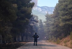 Ξεκινά και επίσημα την Πρωτομαγιά η αντιπυρική περίοδος