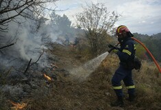 Πόσα γνωρίζεις για την προδιαγεγραμμένη καύση;