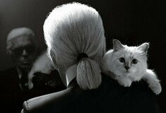 Choupette: Τι απέγινε το 1,5 εκατομμύριο δολάρια που κληρονόμησε η γάτα του Karl Lagerfeld