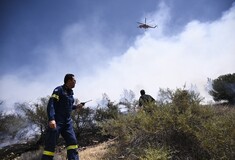 Μεγάλη φωτιά στην Ανάβυσσο- 57 πυροσβέστες, κλειστός ο δρόμος
