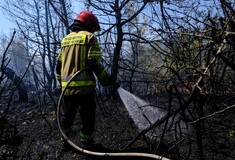 Ασπρόπυργος: Φωτιά κοντά στην Περιφερειακή Αιγάλεω