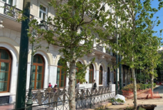 ΡΕΠΟΡΤΑΖ: Ξεκίνησε η δενδροφύτευση κατά μήκος της Πανεπιστημίου