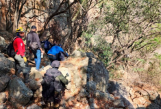 Μεξικό: Βρέθηκαν 45 σακούλες με ανθρώπινα οστά σε χαράδρα 