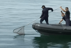 Διάσωση θαλάσσιας χελώνας από τα νερά του Θερμαϊκού