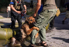 Φράγμα Νόβα Καχόβκα: Χιλιάδες πλημμυρισμένα σπίτια- Απελπισμένοι κάτοικοι προσπαθούν να σώσουν τα ζώα τους