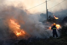 Δασικές πυρκαγιές: Νέο πανευρωπαϊκό δίκτυο για την πρόγνωσή τους- Ο ρόλος του Εθνικού Αστεροσκοπείου Αθηνών