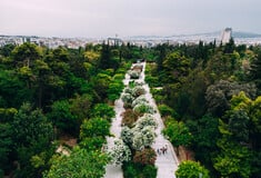 Πεδίον του Άρεως: Το μεγαλύτερο δημόσιο άλσος ελεύθερης πρόσβασης της Αθήνας