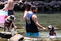 Καύσωνας σαρώνει τις νοτιοανατολικές ΗΠΑ– Αποπνικτική ατμόσφαιρα με 38 βαθμούς και πρόβλεψη για 44