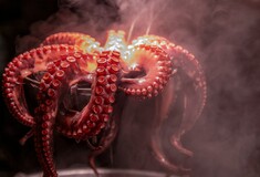 Γιατροί βρήκαν χταπόδι σφηνωμένο στον λαιμό ασθενή