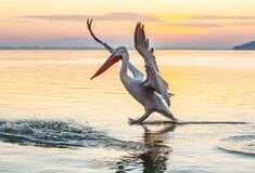 Birdwatching, σπηλαιοκαταδύσεις, μπάνιο σε καταρράκτες: Η άλλη πλευρά της Μεσσηνίας