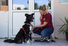 Η Royal Canin Hellas ενώνει τις δυνάμεις της με τη “Save a Greek Stray” και στηρίζει το πρόγραμμα «Ιαματική Ζωοφιλία»