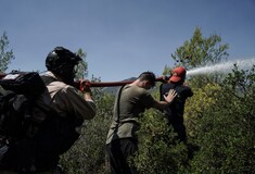 Υψηλός κίνδυνος πυρκαγιάς σήμερα- Ο χάρτης της Πολιτικής Προστασίας