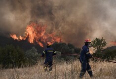 Φωτιά στον Κουβαρά: Εκκενώσεις περιοχών, κινείται ανεξέλεγκτη - Απειλούνται σπίτια