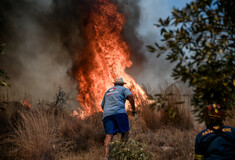 Φωτιά στον Κουβαρά: Κάηκε το καταφύγιο Fazoo Farm στο Λαγονήσι