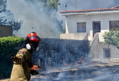 Φωτιές: Εικόνες καταστροφής από το Λαγονήσι - Μαρτυρίες πληγέντων