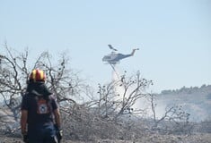 Ευθύμης Λέκκας: Οι φωτιές πυροδοτούν την κλιματική κρίση