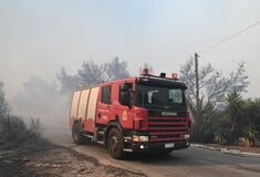 Φωτιά: Μεγάλη αναζωπύρωση στην Οινόη