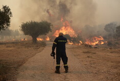Φωτιά στα Δερβενοχώρια: Η μάχη με τις φλόγες σε 15 φωτογραφίες