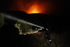 Φωτιές: Ανεξέλεγκτες οι πυρκαγιές σε Ρόδο, Δερβενοχώρια, Λουτράκι- 524 πυροσβέστες στη μάχη