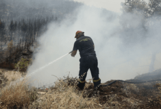 Μεσσηνία: Συνελήφθη 30χρονος που ομολόγησε ότι έβαλε τρεις φωτιές