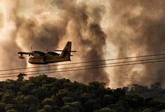 Φωτιές: Μάχη με τις φλόγες στη Ρόδο- Αναζωπυρώσεις σε Αττική, Λουτράκι- LIve