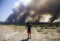 Δασικές πυρκαγιές: τι πηγαίνει λάθος;