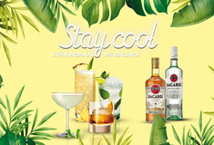 Αφιέρωμα Bacardi