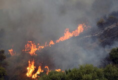 Φωτιές στην Αλγερία: Τουλάχιστον 34 νεκροί - Περικυκλώθηκαν από τις φλόγες