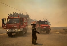 Φωτιές: Συνεχείς αναζωπυρώσεις σε Ρόδο, Κάρυστο και Κέρκυρα