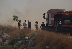 Κάρυστος: Αγνοείται 41χρονος κτηνοτρόφος - Πήγε στο μαντρί του όταν ξέσπασε η φωτιά