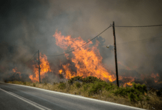 Φωτιά στη Ρόδο: Εισαγγελική παρέμβαση για την καταστροφική πυρκαγιά
