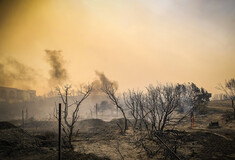 Φωτιές: Ρεκόρ 13 ετών σε καμένες εκτάσεις- Η καταστροφή που προκάλεσαν οι 5 μεγαλύτερες πυρκαγιές