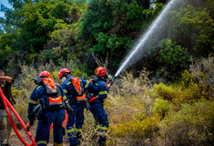 Ρόδος: Έκλεψαν τάμπλετ πυροσβέστη την ώρα που έσβηνε φωτιές