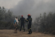 Φωτιές: Καλύτερη εικόνα στα μέτωπα, σε επιφυλακή οι αρχές – Οι στιγμές αγωνίας στη Νέα Αγχίαλο