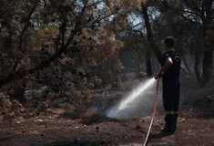 Μέτρα για τη στήριξη πληγέντων από τις φωτιές- Τι περιλαμβάνουν