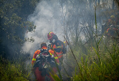 Φωτιές στην Ηλεία: Προσήχθη ύποπτος για απόπειρα εμπρησμού