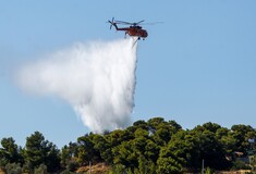 Φωτιά στον Δομοκό – Πάνω από το Παράρτημα ΑμεΑ