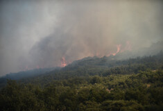 Φωτιά τώρα στον Όλυμπο - Καίει δάσος σε δύσβατο σημείο