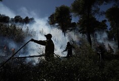 Μία ακόμα σύλληψη για εμπρησμό- Στο Ηράκλειο