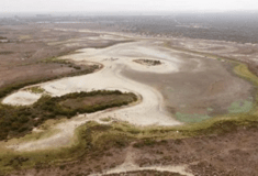 Ισπανία: Ξεράθηκε η μεγαλύτερη λίμνη του εθνικού πάρκου στην Ντονιάνα- Λόγω καύσωνα