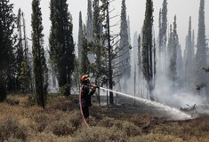 Φωτιά τώρα σε Χαλκιδική και Εύβοια