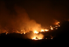 Φωτιά στην Αλεξανδρούπολη: Δύσκολη νύχτα, ριπές ανέμου έως 8 μποφόρ