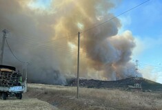 Φωτιά στην Αλεξανδρούπολη: Κάηκαν σπίτια και αυτοκίνητα- «Δεν έχω ξαναδεί τόσο μεγάλο μέτωπο»