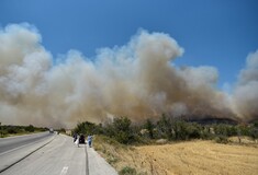 Φωτιά στην Αλεξανδρούπολη: Απανωτά τα μηνύματα από το 112 για εκκενώσεις