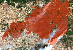Φωτιά στην Αλεξανδρούπολη: Οικολογική καταστροφή με εκτιμήσεις για 75.000 καμένα στρέμματα