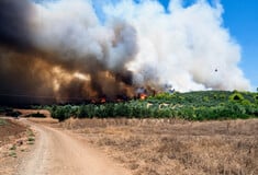 Φωτιές: Σε πύρινο κλοιό η χώρα- Εκκενώσεις χωριών και ένας νεκρός