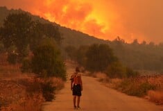 Φωτιά στην Αλεξανδρούπολη: Άλλοι οκτώ απανθρακωμένοι άνθρωποι εντοπίστηκαν στη Δαδιά